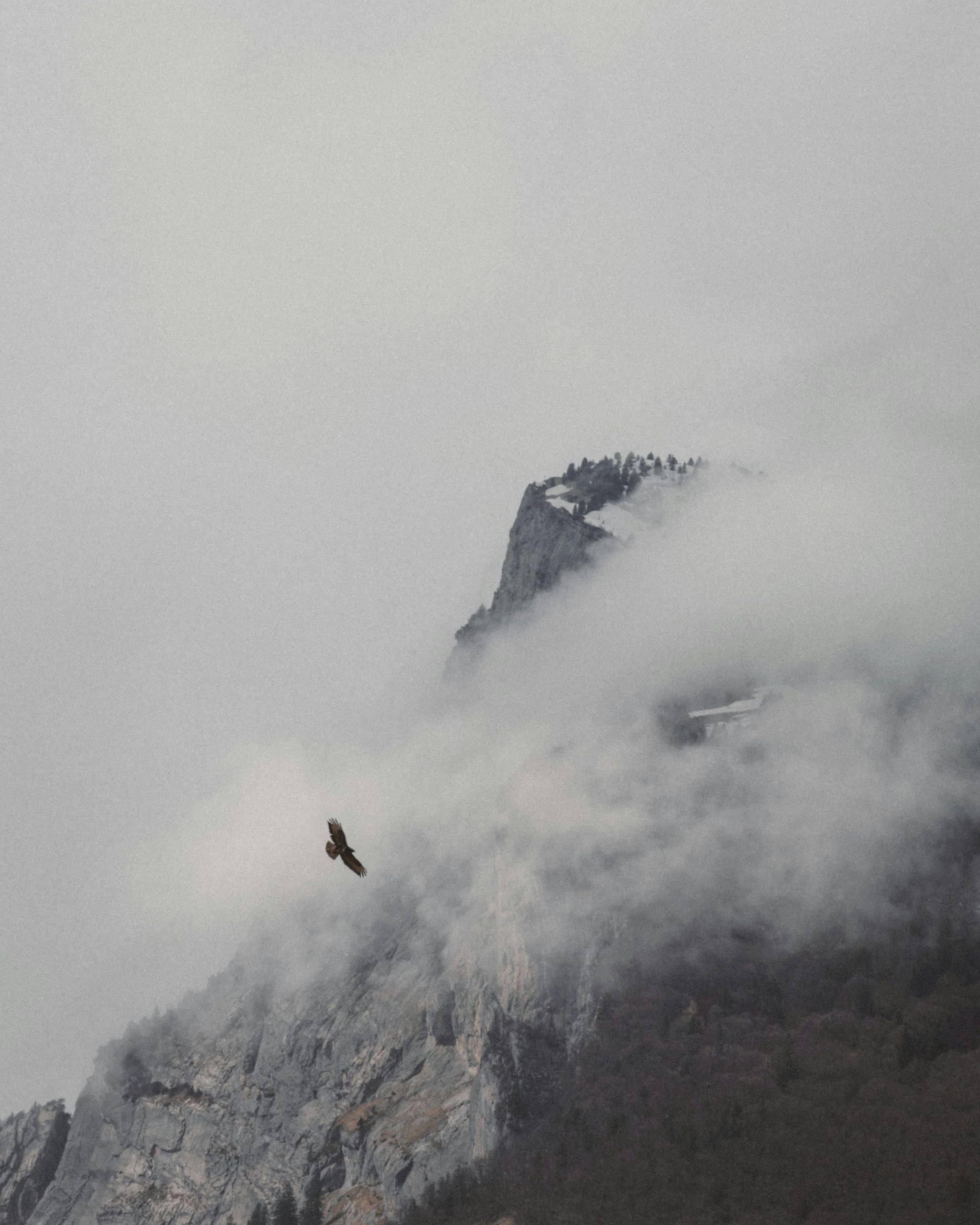 pexels-photo-21364104-21364104 View of a Mountain
